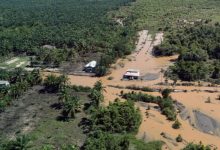 BENCANA. Potret banjir merendam permukiman dan perkebunan sawit di salah satu wilayah terdampak di Sumatra. (istimewa/ejaberita.co)