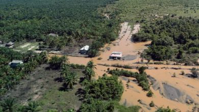 BENCANA. Potret banjir merendam permukiman dan perkebunan sawit di salah satu wilayah terdampak di Sumatra. (istimewa/ejaberita.co)