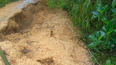 Kondisi jalan utama di Dusun Dubaja, Desa Karang Penang Onjur, Kecamatan Karang Penang, Kabupaten Sampang, ambles akibat longsor setelah diguyur hujan deras. Kerusakan ini membuat akses warga lumpuh total dan membahayakan pengguna jalan.