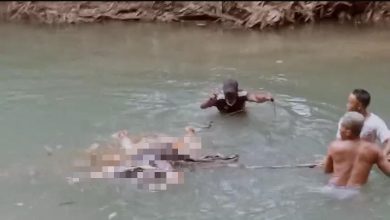 Petugas dan warga mengevakuasi sesosok mayat laki-laki tanpa identitas yang ditemukan mengambang di aliran sungai Desa Tellok, Kecamatan Galis, Bangkalan, Sabtu (21/2/2026) sore.**