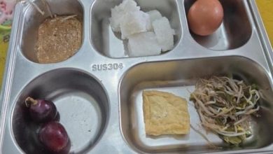 Menu Makan Bergizi Gratis (MBG) yang diterima siswa SDN Poter 1 Tanah Merah, terdiri dari lontong, telur rebus, tahu goreng, kecambah, saus kacang, dan dua butir anggur.