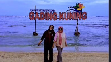 Pantai Gading Kuning di Tanjung Bumi, Bangkalan, menawarkan pengalaman unik memasuki kawasan pantai melalui jalur hutan mangrove dengan jembatan kayu yang membelah area hijau. Sensasinya serasa berjalan di kebun teh sebelum akhirnya disambut hamparan pasir putih dan debur ombak. Dengan tiket masuk hanya Rp5.000 serta delapan spot foto menarik, destinasi baru ini menjadi magnet wisata alternatif di Madura sekaligus membuka peluang ekonomi bagi warga sekitar.