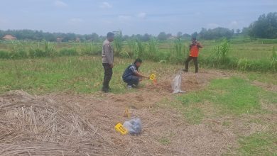 Petugas kepolisian melakukan olah tempat kejadian perkara (TKP) di area persawahan Dusun Derbing, Desa Tragih, Kecamatan Robatal, Sampang, lokasi tewasnya seorang petani akibat dugaan penganiayaan, Selasa (10/3/2026).