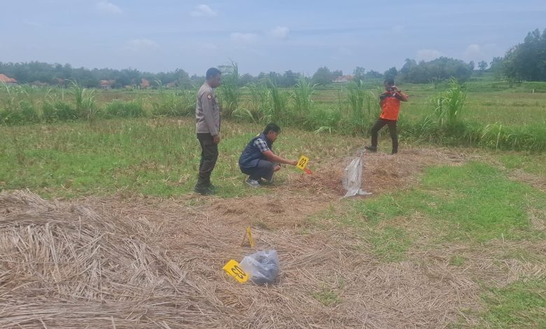Petugas kepolisian melakukan olah tempat kejadian perkara (TKP) di area persawahan Dusun Derbing, Desa Tragih, Kecamatan Robatal, Sampang, lokasi tewasnya seorang petani akibat dugaan penganiayaan, Selasa (10/3/2026).