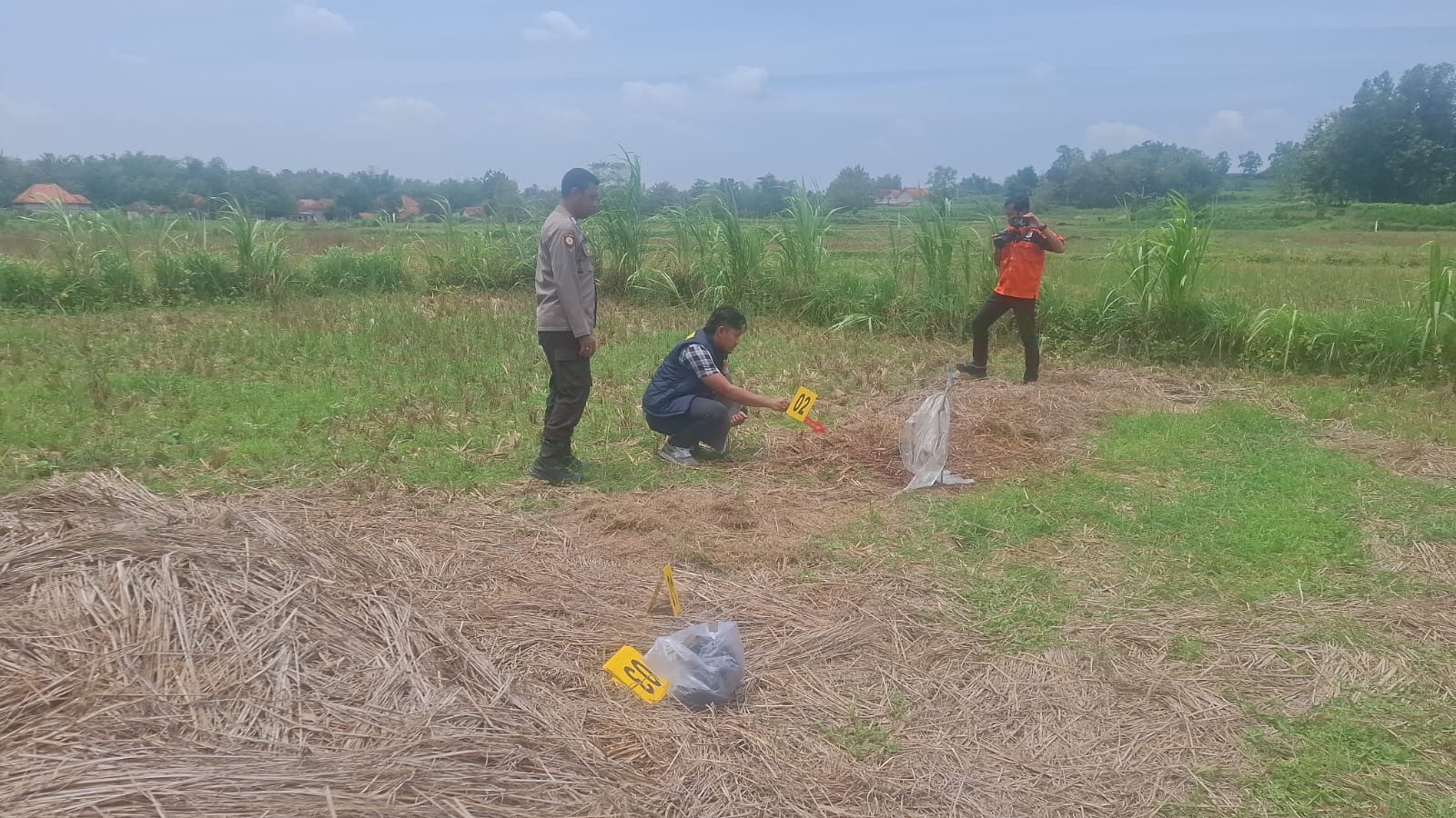 Petugas kepolisian melakukan olah tempat kejadian perkara (TKP) di area persawahan Dusun Derbing, Desa Tragih, Kecamatan Robatal, Sampang, lokasi tewasnya seorang petani akibat dugaan penganiayaan, Selasa (10/3/2026). 