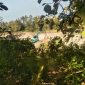 Alat berat excavator beroperasi di lokasi tambang galian C di Desa Sentol Laok, Sumenep, yang dikeluhkan warga karena dekat dengan permukiman dan dinilai membahayakan.