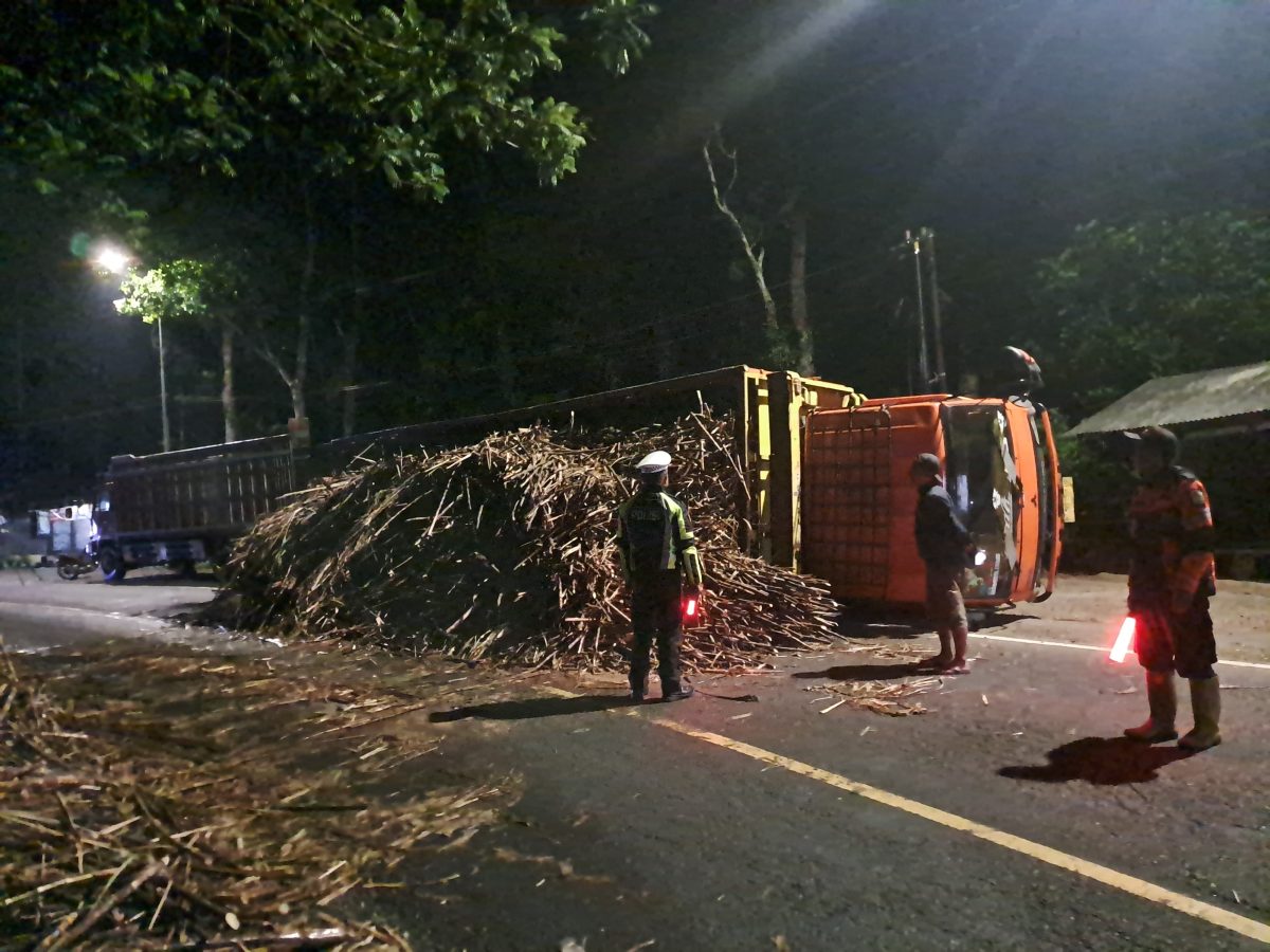 Truk bermuatan tebu terguling di Jalur Gumitir, Jember, saat pengemudi mengganti ban yang kempes. Muatan tebu berserakan hingga menutup sebagian badan jalan dan menyebabkan kemacetan dari arah Jember maupun Banyuwangi. Beruntung tidak ada korban jiwa dalam insiden tersebut.