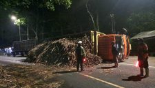 Truk bermuatan tebu terguling di Jalur Gumitir, Jember, saat pengemudi mengganti ban yang kempes. Muatan tebu berserakan hingga menutup sebagian badan jalan dan menyebabkan kemacetan dari arah Jember maupun Banyuwangi. Beruntung tidak ada korban jiwa dalam insiden tersebut.