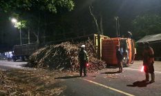 Truk Tebu Terguling di Gumitir, Jalur Jember–Banyuwangi Lumpuh Sementara