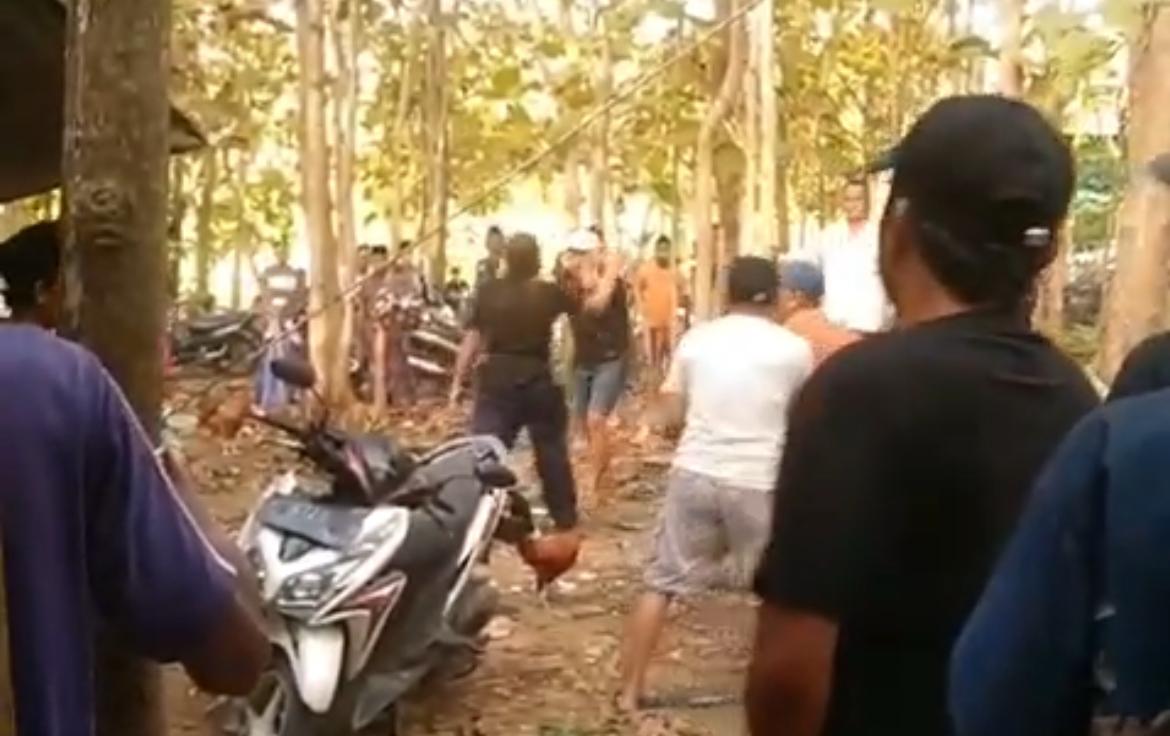 Tangkapan layar video yang memperlihatkan suasana ricuh di arena sabung ayam di wilayah perbatasan Bangkalan dan Sampang. Keributan diduga dipicu sengketa taruhan hingga sejumlah warga terlihat saling mengacungkan senjata tajam jenis celurit.