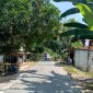Lokasi perkelahian berdarah di Desa Nyiloh, Kecamatan Kedungdung, Sampang, yang mengakibatkan dua pria terluka serius akibat duel menggunakan celurit dan pisau.
