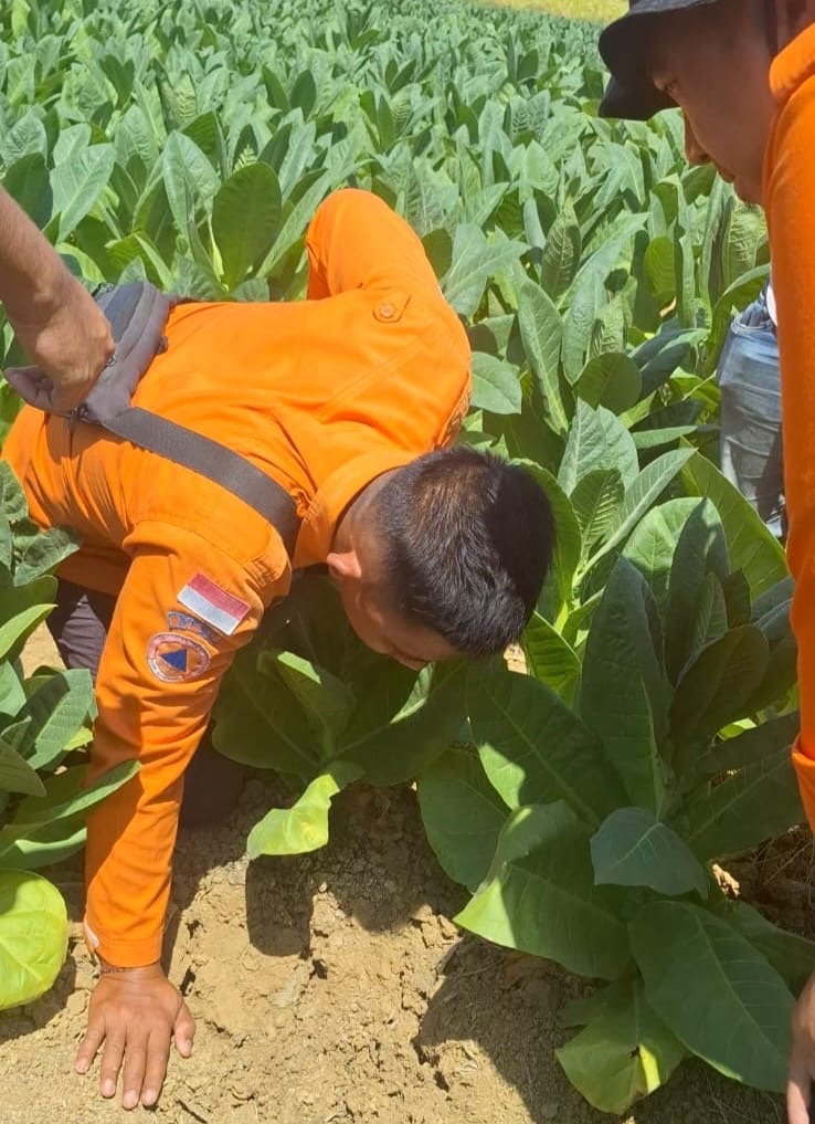 Viral di media sosial, sawah di Dusun Bangsal, Desa Gunung Eleh, Kecamatan Kedungdung, Sampang mengeluarkan bunyi gemuruh disertai gelembung udara. BPBD turun melakukan survei dan berkoordinasi dengan ESDM untuk menyelidiki dugaan adanya gas bumi.